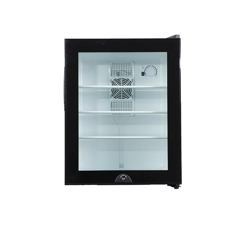 Mini lodówka chłodziarka 40L z – Wine Beer Fridge Small recenzja i cena